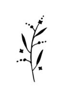 Zweig mit Blättern auf weißem Hintergrund vektor