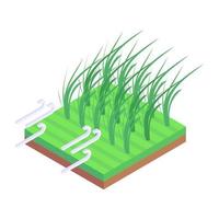Reisplantage und Felder vektor