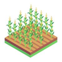kornfält jordbruk vektor
