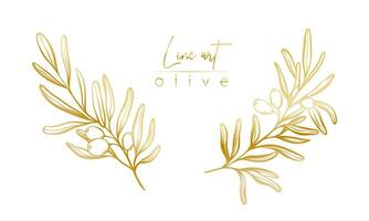 einstellen von botanisch golden Illustration von Olive Blätter Ast zum Hochzeit Einladung und Karten, Logo Design, Netz, Sozial Medien und Plakate Vorlage. elegant minimal Stil Blumen- Vektor isoliert