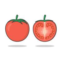 färsk tomat vektor ikon illustration. hela och skiva av tomat platt ikon