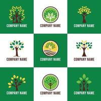 Logo konzentriert sich auf Bäume, die in der Natur wachsen vektor