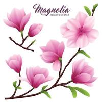 realistische Magnolien-Blumen-Icon-Set-Vektor-Illustration vektor
