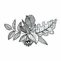 ritad för hand sammansättning av höst löv i klotter stil. vektor illustration isolerat på vit bakgrund.