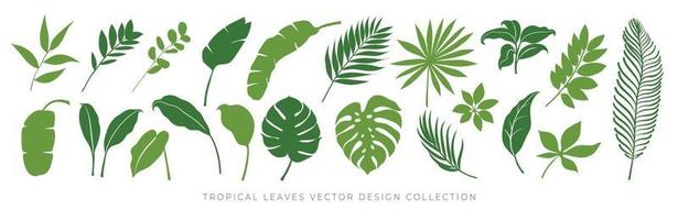 tropische Blätter Vektor-Set. Palmblatt, Kokosblatt, Bananenblätter, Monstera, Farn, Botanik und Dschungelblätter Design für Naturhintergrund, Öko- und Sommerbanner, Tapeten, Muster und Drucke. vektor