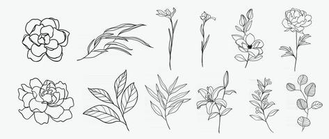 minimal botanisk handritningsdesign för logotyp och bröllopsinbjudan. blommig konst. blomma och blad design samling för buketter dekoration, kort och förpackning bakgrund. vektor