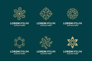 Sammlung von luxuriös und elegant Blume Logos vektor