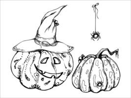 hand dragen bläck vektor häxa pumpor i spetsig hattar Pumpalykta. skiss illustration konst för halloween, fest, trolldom. isolerat objekt, översikt. design butiker logotyp, skriva ut, hemsida, kort, kostym