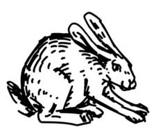 skizzieren von süß Hase, Hase. Hand gezeichnet Vektor Illustration. Gekritzel von Wald wild Tier. Single Hase Zeichnung isoliert auf Weiß. Element zum Design, Dekor.