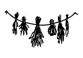 klotter av klasar av torkades gräs hängande örter på rep. herbarium, trolldom Ingredienser, aromaterapi skiss. hand dragen vektor illustration. översikt klämma konst isolerat på vit.