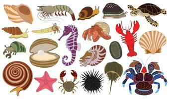 vektor illustration uppsättning av hand dragen under vattnet varelser. eremit krabba, hummer, snäckskal, snigel, kokos krabba, hav sköldpadda, hav stjärna, kuri, chiton, nautilus, hästsko krabba