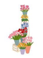 annorlunda typer blommor uppsättning platt vektor illustration. blommor gata affär sammansättning