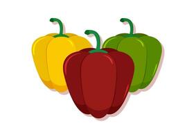 vektor illustration av röd, gul och grön peppar färsk grönsak. utsökt friska mat
