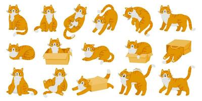 Karikatur Kätzchen Katzen süß Figuren. rot Katzen im anders Posen, verschiedene Emotionen und Verhalten isoliert auf Weiß Hintergrund. Vektor einstellen