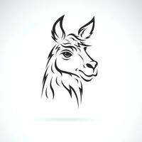 vektor av en lama huvud design på vit bakgrund. lätt redigerbar skiktad vektor illustration. vild djur.