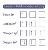 hunds regel av förklaring maximal mångfald vektor