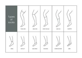 Typen von Socken, linear Vektor Symbol