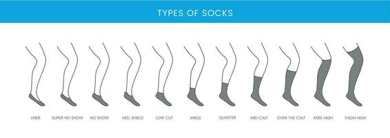 Typen von Socken, linear Vektor Symbol
