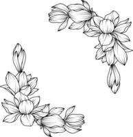 Magnolie Blume. skizzieren mit schwarz und Weiß Linie Kunst von Magnolie Blumen. vektor