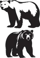 Illustration von ein Bär wild Tier vektor