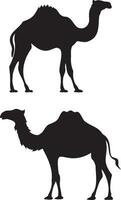 Silhouette von Kamel. wild Leben Tier zum Ägypten Thema vektor