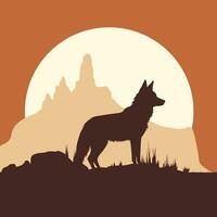 Silhouette von ein wild Fuchs Stehen auf Felsen beim Sonnenuntergang, Vektor Illustration