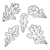 uppsättning av vektor silhuetter av en realistisk form av ek löv