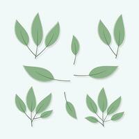 Grün Blätter Symbol einstellen isoliert Vektor Illustration.