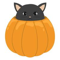 Halloween schwarz Katze im das Kürbis vektor