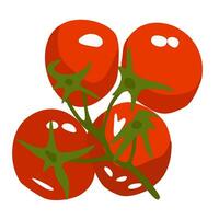 Ast von Kirsche Tomaten. Vektor isoliert Illustration