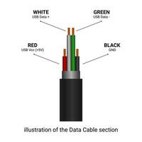 Daten Kabel Sektion Illustration. Leistung Kabel, elektrisch Kupfer Kabel, Optik Ballaststoff Netzwerk Kabel. Draht Linie zum Elektronik und Verbindung. Vektor eben Illustration