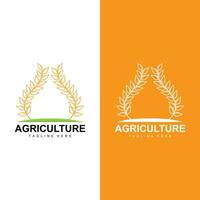 Reis Logo, Bauernhof Weizen Logo Design, Vektor Symbol Symbol Grafik Illustration