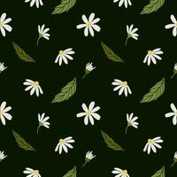 vit daisy kamomill blommor. kamomill vektor sömlös mönster. söt runda blomma huvud växt natur samling. dekoration element. platt design för kort, förpackning, grafik, textil-