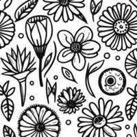 abstrakt schwarz und Weiß monochromatisch handgemalt Blumen Textur Muster Gekritzel Vektor Illustration