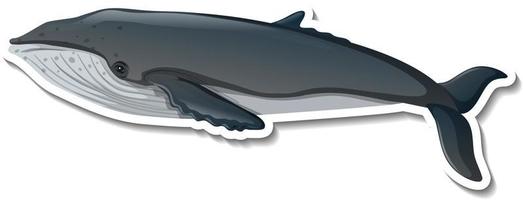 whale sea animal cartoon sticker vektor