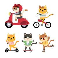 große menge isolierter tiere. Vektorsammlung von Aktivität, Reiten, Fahrrad, Fahrrad, Rollschuhlaufen, Skateboarden, Scootie, lustige Tiere. süße Tiere Katze im Cartoon-Stil. vektor