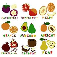 en uppsättning av stiliserade geometrisk frukt i hela och i sektion med de namn. naturlig organisk tropisk Produkter. ljus utskrift på matvaror Produkter till ange smak. vektor platt illustration