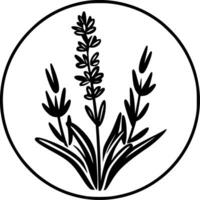 Lavendel - - hoch Qualität Vektor Logo - - Vektor Illustration Ideal zum T-Shirt Grafik