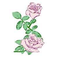 rosa reste sig blomma design illustration. perfekt för affisch, hemsida, baner, bok omslag, inbjudan, video, klistermärke eller tatuering element. vektor