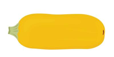 zucchini är gul. vektor stock illustration. isolerat på en vit bakgrund. en mogen grönsak.