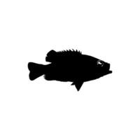 Bass Fisch Silhouette, können verwenden zum Kunst Illustration, Logo Gramm, Piktogramm, Maskottchen, Webseite, oder Grafik Design Element. Vektor Illustration