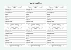 Herbarium Etikette Blatt. Pflanze Identifizierung Vorlage. Sammlung und Erhaltung von Pflanze Materialien. Vektor