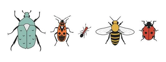 süß Insekten im Jahrgang Karikatur Stil. Feuerkäfer, Ameise, Blume Käfer, Honig Biene, Marienkäfer isoliert auf Weiß Hintergrund vektor