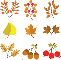 Herbst Blätter Illustration. bunt Design. Vektor Illustration