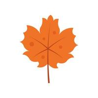 Herbst Blatt Illustration Element Vektor , Natur Blatt Herbst