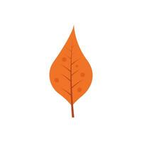 Herbst Blatt Illustration Element Vektor , Natur Blatt Herbst