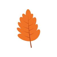 Herbst Blatt Illustration Element Vektor , Natur Blatt Herbst