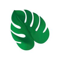 Vektor Monstera Blatt Symbol Karikatur von Monstera Blatt Vektor Symbol zum Netz Design isoliert auf Weiß Hintergrund