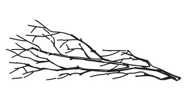 översikt ClipArt av bar gren. klotter av träd utan löv. hand dragen vektor illustration isolerat på vit bakgrund.