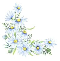 Strauß von Gänseblümchen, Vektor Aquarell Illustration. Kamille Blumen- Anordnung von Garten Gänseblümchen Blumen, Blütenblätter, Blätter und Knospen